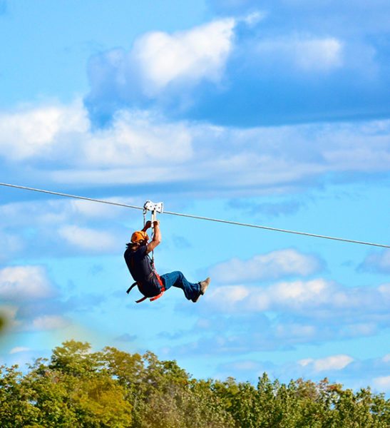 Ziplines - Mont Tremblant