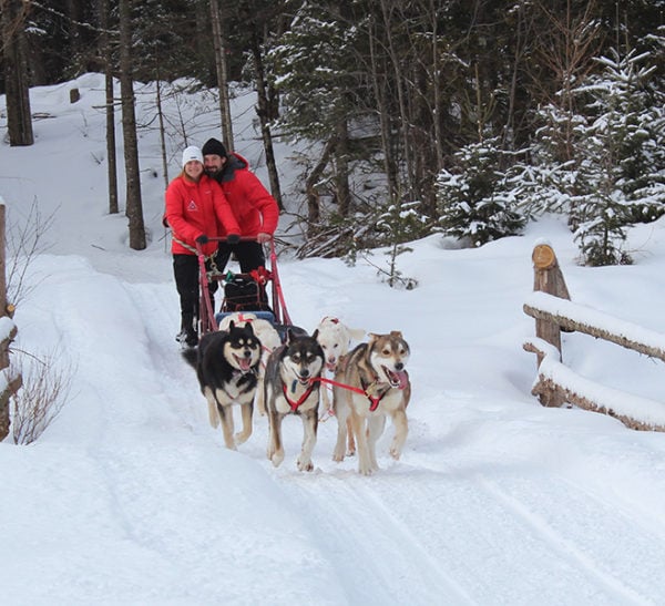 DOGSLEDDING MONT TREMBLANT – VALLEY ADVENTURE