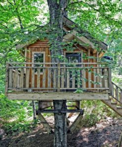 Tremblant Treehouse Rentals