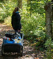 Treehouse Luggage Transport