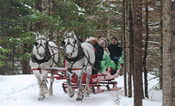 Sleighrides