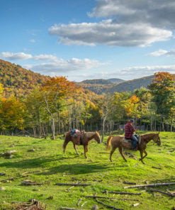 Cours d'équitation -Horseback riding Mont Tremblant