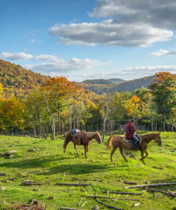 Horseback Riding