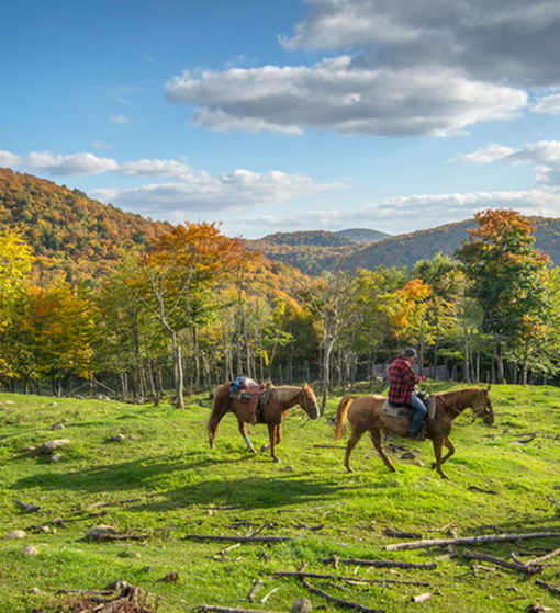 Horseback - Mont Tremblant
