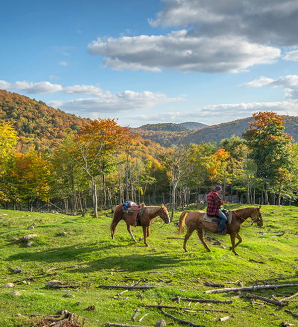 Cours d'équitation -Horseback riding Mont Tremblant