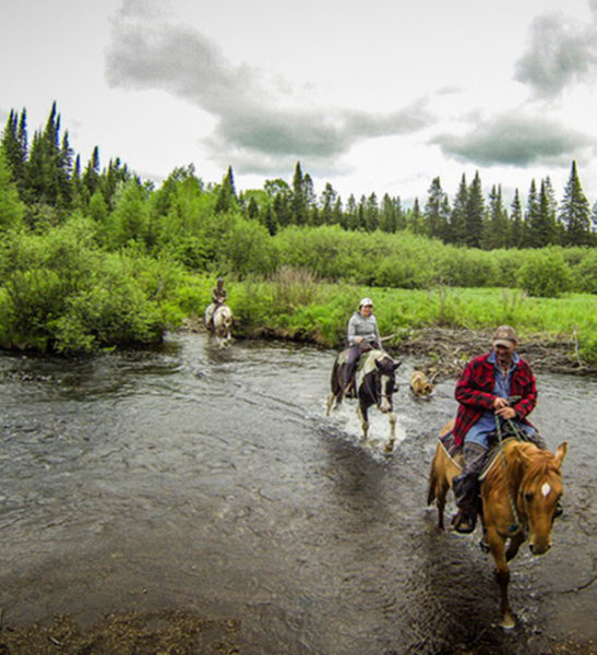 Horseback - Mont Tremblant