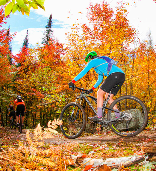 Mountain Biking - Mont Tremblant