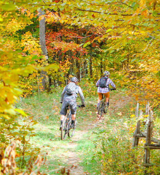 Mountain Biking - Mont Tremblant