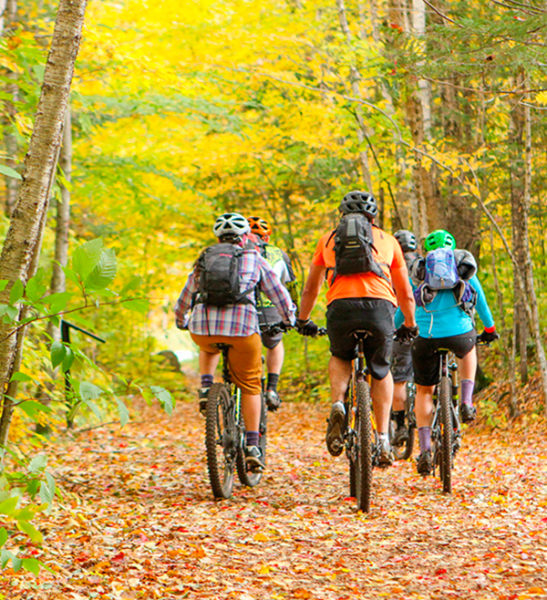 Mountain Biking - Mont Tremblant