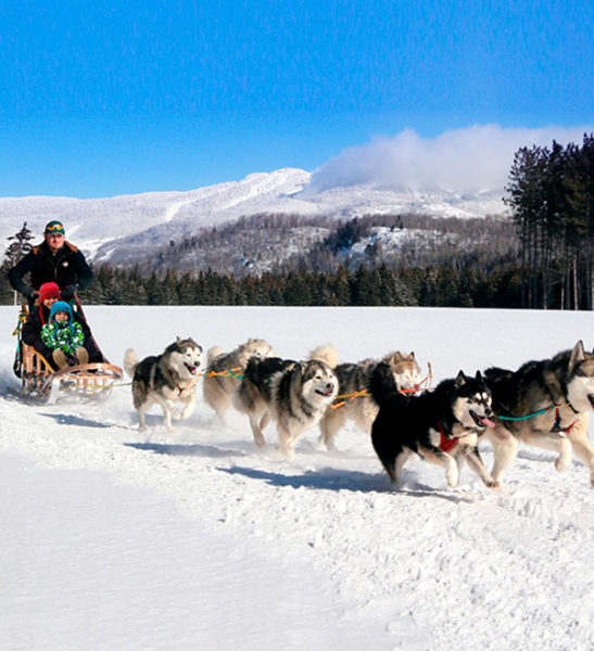 Dogsledding - Mont Tremblant