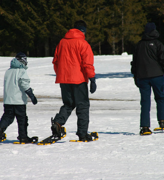 Snowshoeing - Mont Tremblant