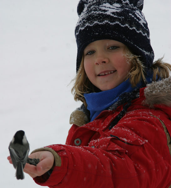 Cross-country skiing – Mont Tremblant