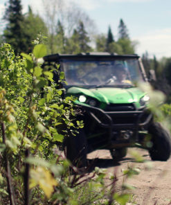 Dune Buggy 4 x 4 Tours