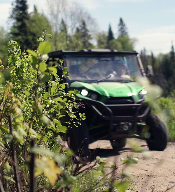 kawasaki dune buggy