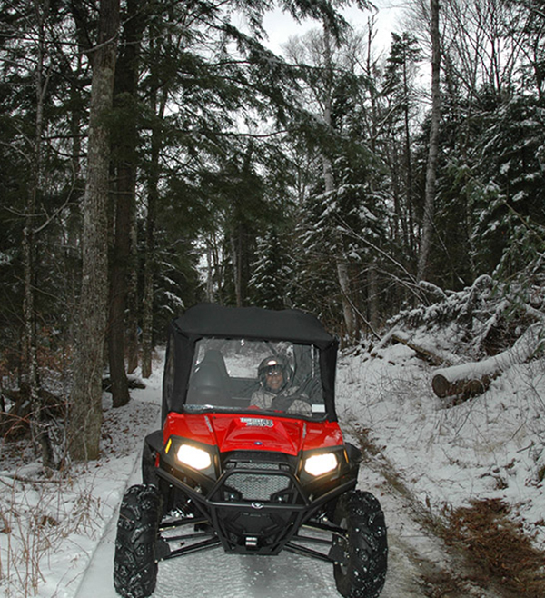 winter buggy