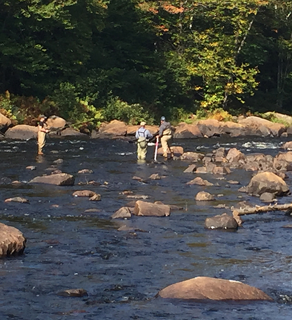 Fly Fishing - Mont Tremblant