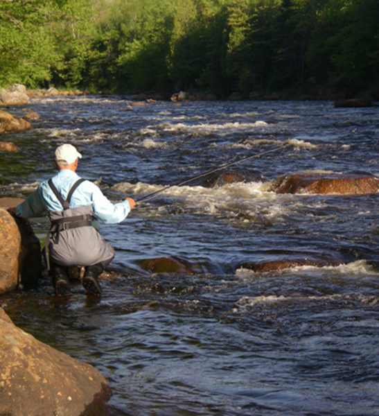 Fly Fishing - Mont Tremblant