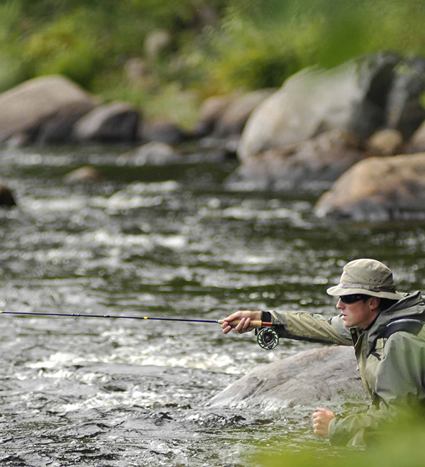 How to Catch a Legendary Colorado Fly Fishing Experience