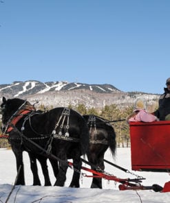 Horse drawn sleigh ride - Mont Tremblant