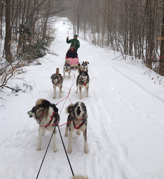 Dogsledding - Mont Tremblant
