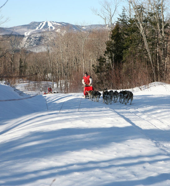 Dogsledding - Mont Tremblant
