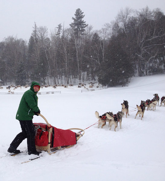 Dogsledding - Mont Tremblant