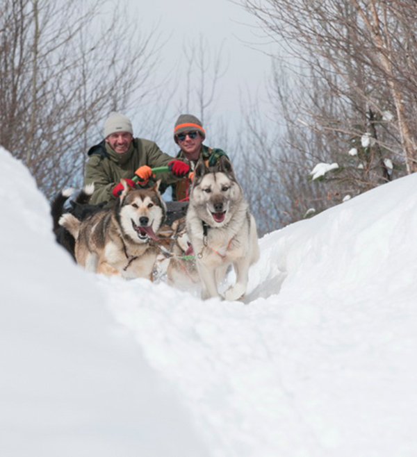 traineau à chien laurentides -