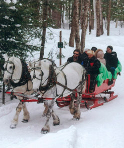 Private horse drawn sleigh ride - Mont Tremblant