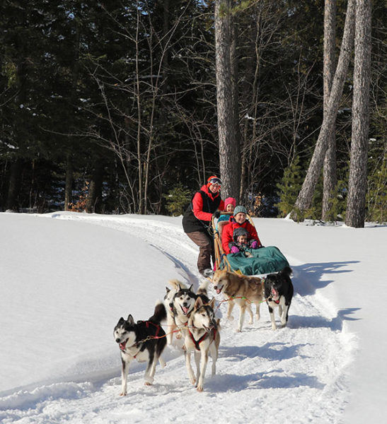 DOGSLEDDING MONT TREMBLANT – DIABLE ADVENTURE