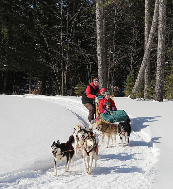 Dog sledding near shop me