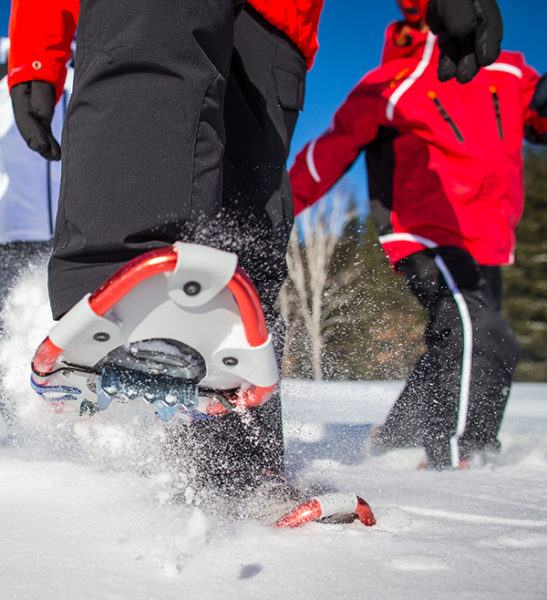 Snowshoeing - Mont Tremblant