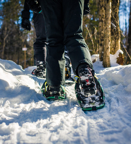 Snowshoeing - Mont Tremblant