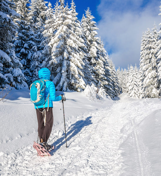 Snowshoeing - Mont Tremblant