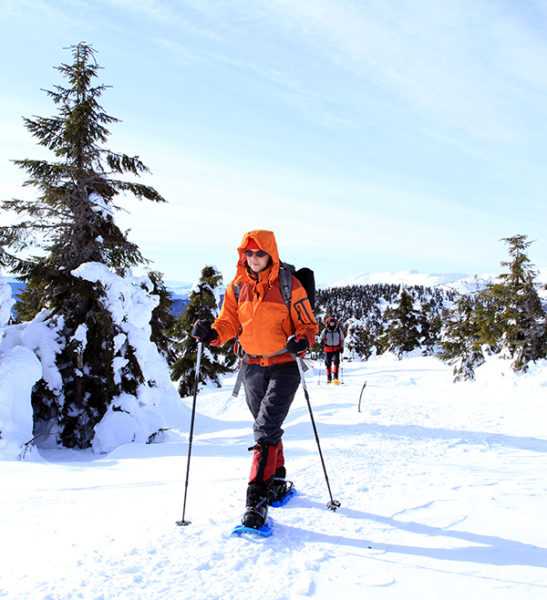 Snowshoeing - Mont Tremblant