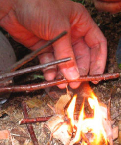 Aventures et survie en forêt