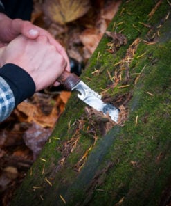 Wilderness Survival - Tremblant