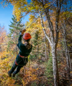 Zipline - Mont Tremblant - Through the trees