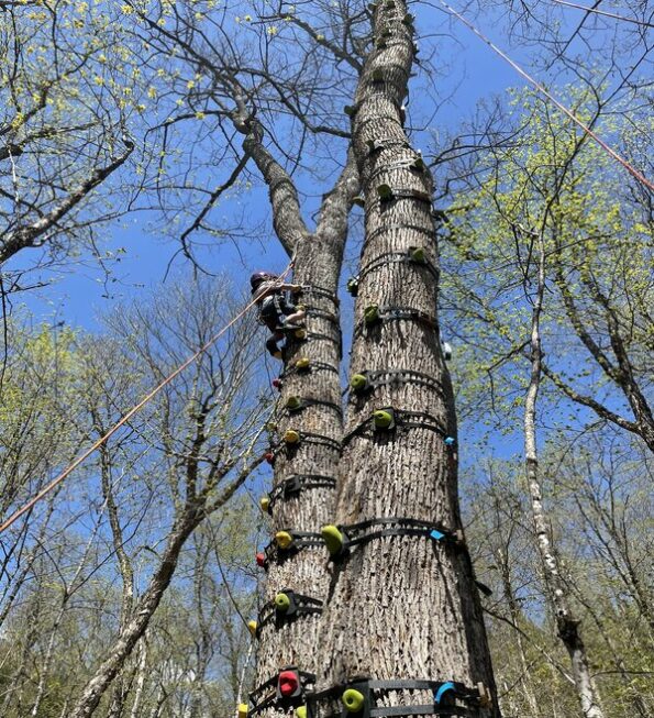 Ziplines River Ziplines in the Trees (2h) MontTremblant Activity