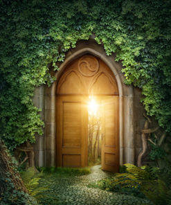 Escape Room Birthday Party - Enchanted Forest - Mont-Tremblant