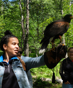 Birds of Prey - Mont-Tremblant