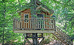 Mont Tremblant Treehouse