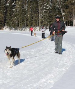 Snowshoe Montreal - Snowshoe Joering with Dogs - Mont-Tremblant