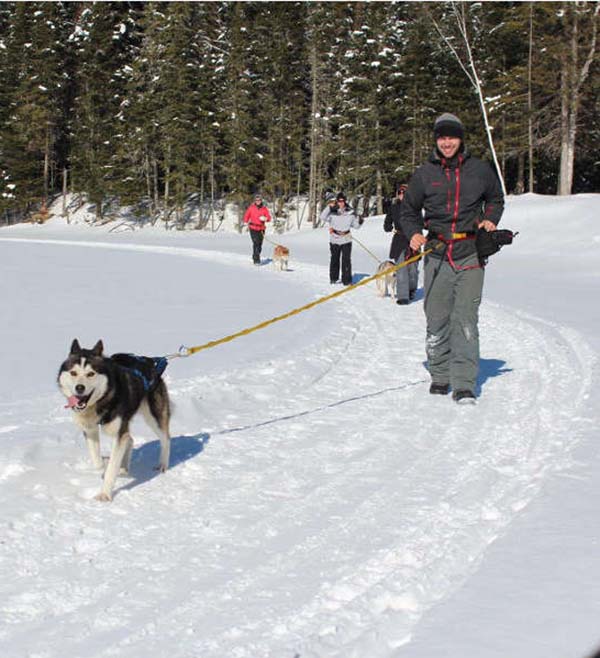 Snowshoe Montreal - Snowshoe Joering with Dogs - Mont-Tremblant