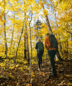 Park Access | Domaine Saint-Bernard