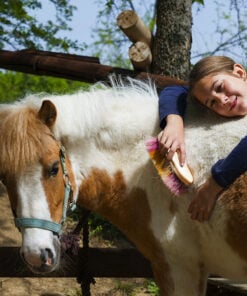 horse riding for beginners cours d'équitation