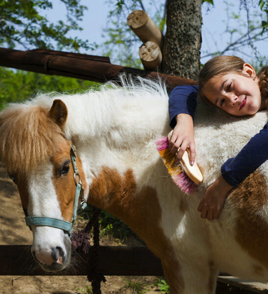 horse riding for beginners cours d'équitation