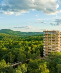 Visites Panoramiques