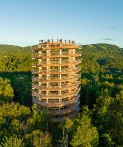 Treetop Walk