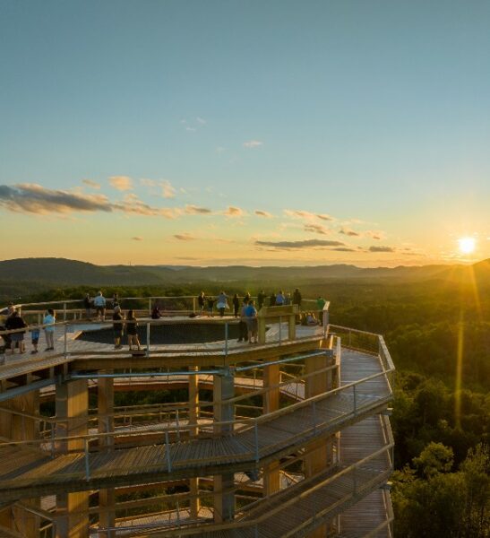 Treetop Laurentides Hiking Trails The Activity Centre