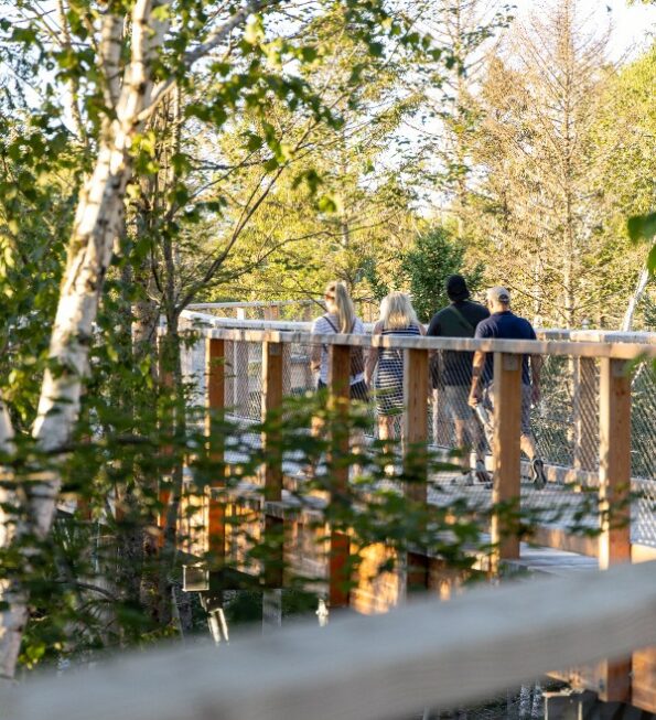 Treetop Laurentides Hiking Trails The Activity Centre